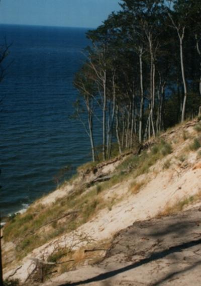 1995_1.JPG